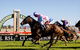 Hawkesbury Race Club - thumb 1