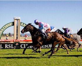 Hawkesbury Race Club - Accommodation Perth 1