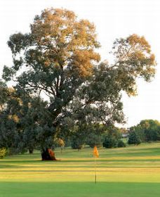 Cowra NSW Accommodation Perth