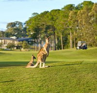 Sanctuary Cove Golf and Country Club - Accommodation Perth