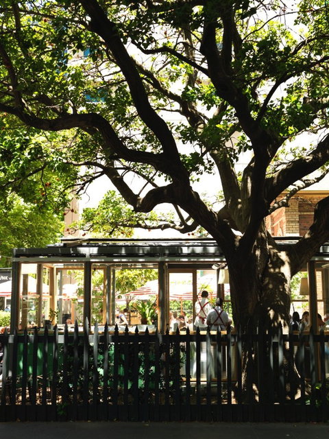 Trunk Diner - Accommodation Perth 11