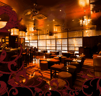 Hippo Lounge Bar - Accommodation Perth