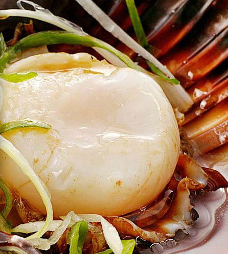 Golden Century Seafood Restaurant - Accommodation Perth 2
