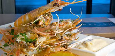 Garfish - Accommodation Perth 5