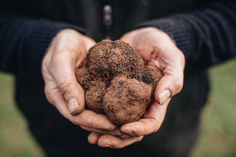 A Taste Of Truffles - Accommodation Perth 0