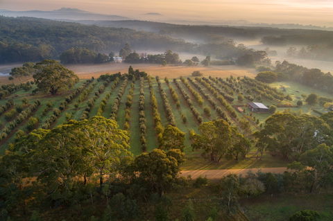 A Taste Of Truffles - Accommodation Perth 1