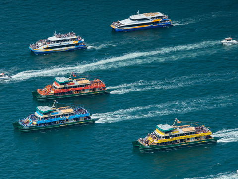 Australia Day Sydney Harbour Cruises - Accommodation Perth 1