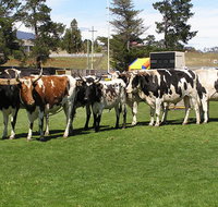 Brighton Show - Accommodation Perth