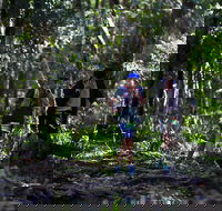 Elephant Trail Race - Accommodation Perth