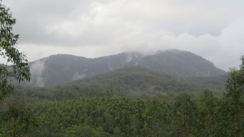 Elephant Trail Race - Accommodation Perth 2