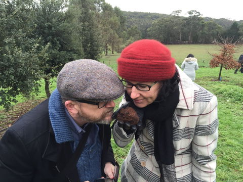 Feast And Forage - Craig's Royal Hotel - Accommodation Perth 1