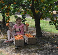 Fruit Bottling Sessions at Rayner's Orchard