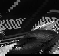 Girrakool Blues Festival and Barbecue - Accommodation Perth