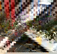 Grampians Wildflower Show - Accommodation Perth