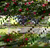 Griffith Spring Fest - Accommodation Perth