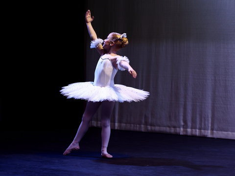 Hamilton Eisteddfod - Accommodation Perth 2