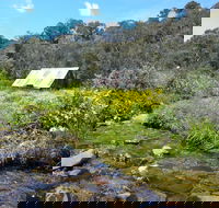 Hedonistic Hiking's Falls Creek to Hotham - Accommodation Perth