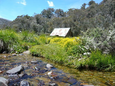 Hedonistic Hiking's Falls Creek To Hotham - Accommodation Perth 0