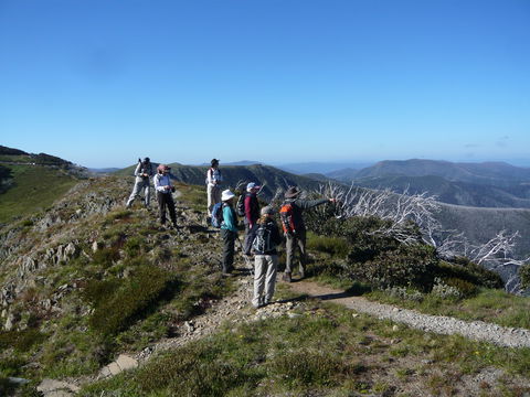 Hedonistic Hiking's Falls Creek To Hotham - Accommodation Perth 1