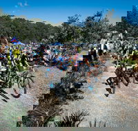 JetBlack Wild Wombat MTB Challenge - Accommodation Perth