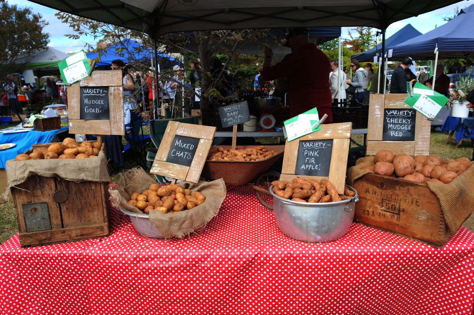 Mudgee NSW Perth Resorts