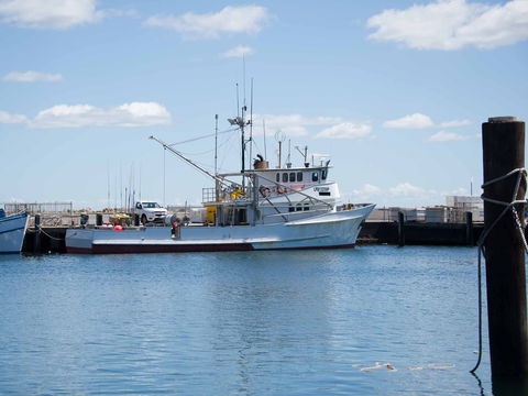 Love Sea Food Port Stephens - Accommodation Perth 1