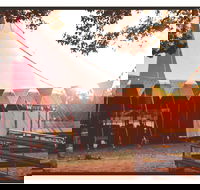 Mullum Circus Festival - Accommodation Perth