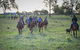 Night Horse Ride And Dinner - thumb 1