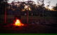 Night Horse Ride And Dinner - thumb 2
