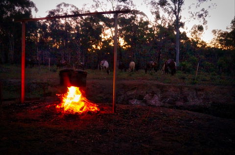 Night Horse Ride And Dinner - Accommodation Perth 2