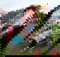 Pambula Show - Accommodation Perth