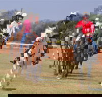 Pride of the West Races 2020 - Accommodation Perth