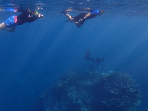Project Manta Ningaloo Reef, Western Australia - Accommodation Perth 1