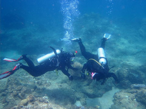 Recovery Of The Great Barrier Reef Expedition - Accommodation Perth 1