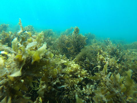 Recovery Of The Great Barrier Reef Expedition - Accommodation Perth 2