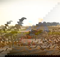 Rutherglen Gourmet Amble - Accommodation Perth