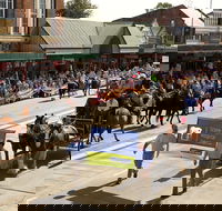 Scone Horse Festival - Accommodation Perth