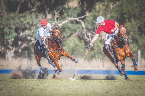 Scone Horse Festival - Accommodation Perth 1