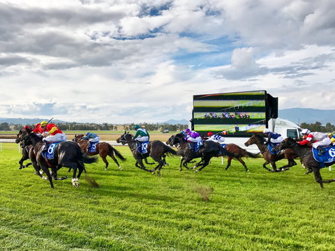 Scone Horse Festival - Accommodation Perth 2