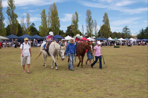 Seasons Of New England Expo - Accommodation Perth 2