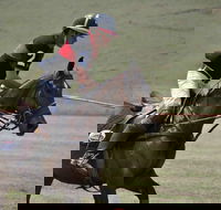 Wirragulla Annual Polo Tournament - Accommodation Perth