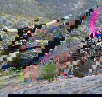 Wonderland Run - Accommodation Perth