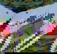 Acrylic Earring Workshop Native Florals - Accommodation Perth