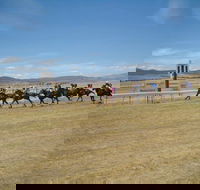 Adaminaby Cup Race Day - Accommodation Perth