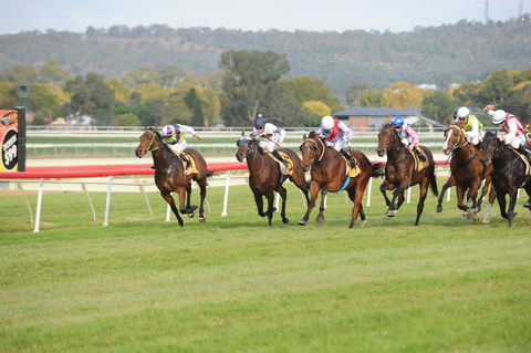 Aggies Race Day - Accommodation Perth 0