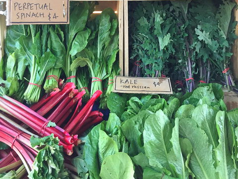 Albury Wodonga Farmers Market - Accommodation Perth 0