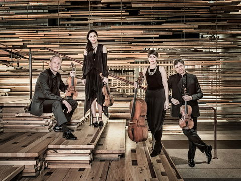 Australian String Quartet Plays Late Beethoven - Accommodation Perth 2