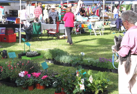 Batemans Bay Sunday Market - Accommodation Perth 2