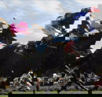 Batemans Bay Cup - Accommodation Perth