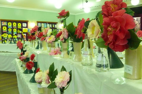 Blackheath Flower And Craft Show - Accommodation Perth 1